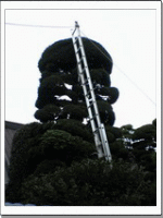 �`���{�q�o